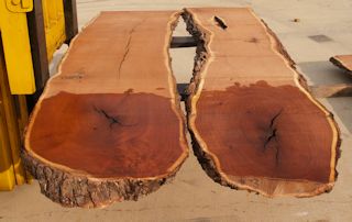Matched pair of Mesquite Slabs in rough form.