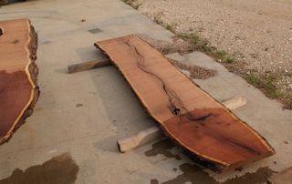 Mesquite Slab in rough form.