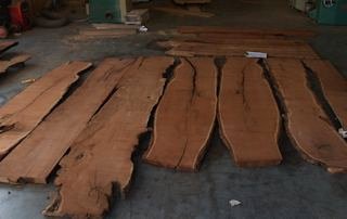 A group of Mesquite slabs in rough form.