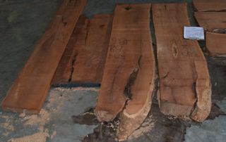 A group of Mesquite slabs in rough form.