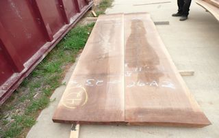 A matched pair of Walnut slabs with straight edges.
