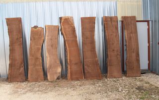 A group of Walnut slabs.