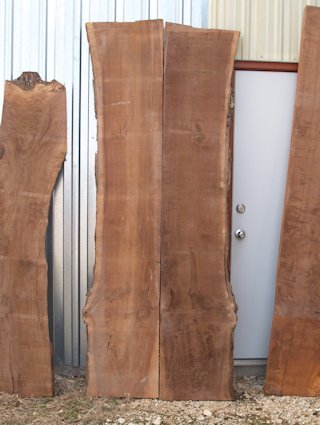 A book-matched set of Walnut slabs.