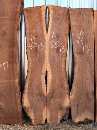 A book-matched set of Walnut slabs.