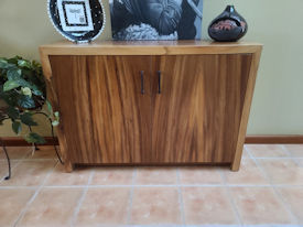 cabinet-img224