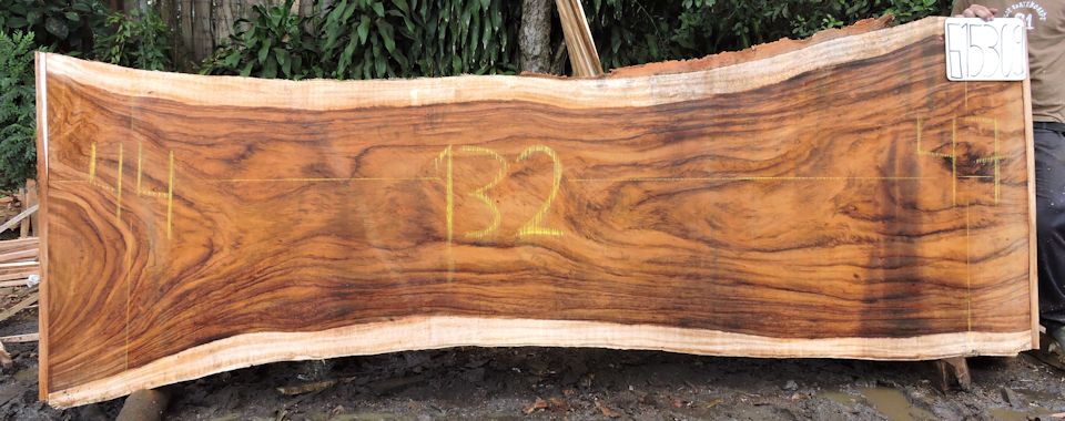 Guanacaste Live Edge Wood Slabs