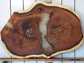 Guanacaste Live Edge Wood Slab - H15040