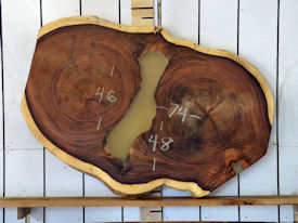 Guanacaste Live Edge Wood Slab - H15041