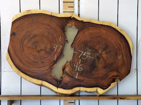 Guanacaste Live Edge Wood Slab - H15042