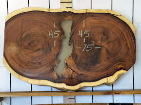 Guanacaste Live Edge Wood Slab - H15043