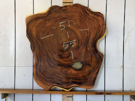 Guanacaste Live Edge Wood Slab - H15057