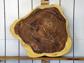 Guanacaste Live Edge Wood Slab - H15084