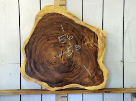 Guanacaste Live Edge Wood Slab - H15085