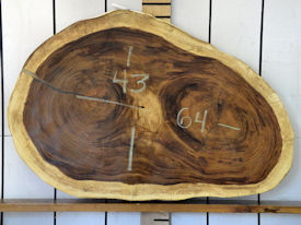 Guanacaste Live Edge Wood Slab - H15311