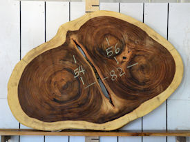 Guanacaste Live Edge Wood Slab - H15319