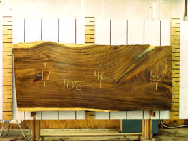 Guanacaste Live Edge Wood Slab - J16236