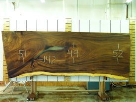 Guanacaste Live Edge Wood Slab - J16300