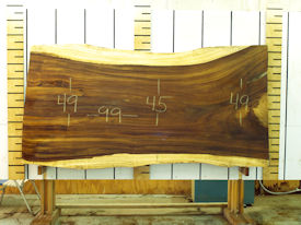 Guanacaste Live Edge Wood Slab - J16331