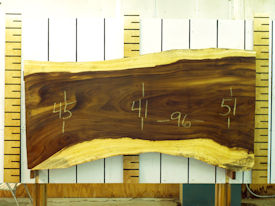 Guanacaste Live Edge Wood Slab - J16333