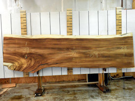 Guanacaste Live Edge Wood Slab - J16774