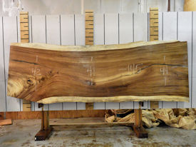 Guanacaste Live Edge Wood Slab - J17669