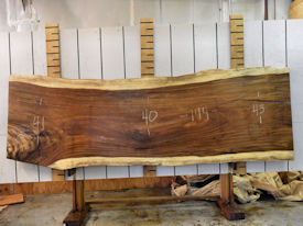 Guanacaste Live Edge Wood Slab - J17670