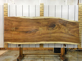 Guanacaste Live Edge Wood Slab - J180998