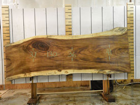 Guanacaste Live Edge Wood Slab - J181008