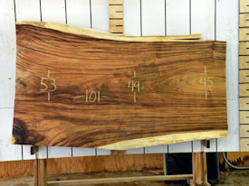 Guanacaste Live Edge Wood Slab - J18104