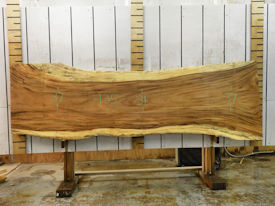 Guanacaste Live Edge Wood Slab - J181058