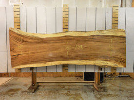 Guanacaste Live Edge Wood Slab - J181059
