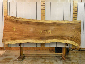 Guanacaste Live Edge Wood Slab - J181060