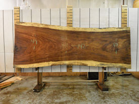 Guanacaste Live Edge Wood Slab - J181080