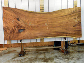 Guanacaste Live Edge Wood Slab - J18148