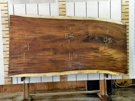 Guanacaste Live Edge Wood Slab - J18267