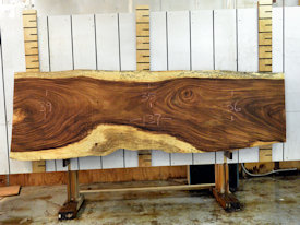 Guanacaste Live Edge Wood Slab - J18316