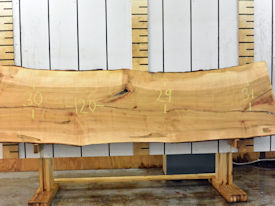 Ambrosia Maple Live Edge Wood Slab - AM201