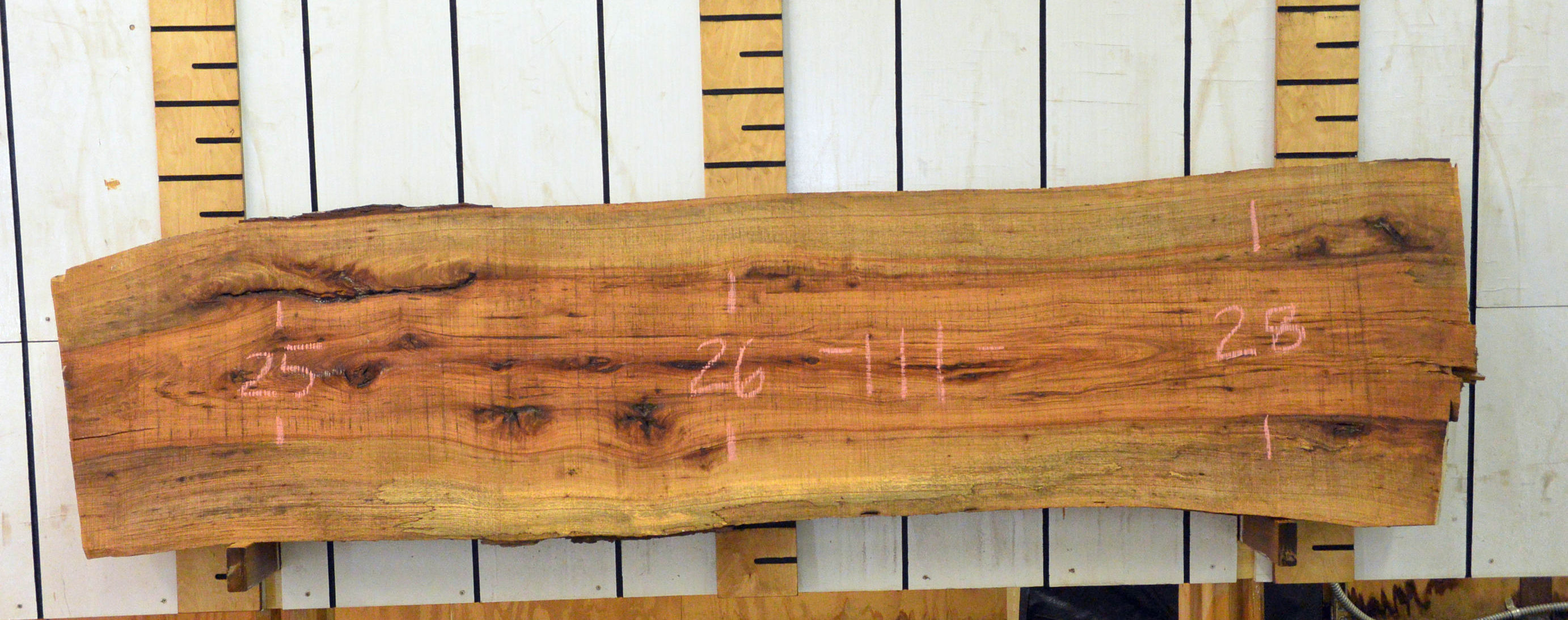 Guanacaste Live Edge Wood Slabs