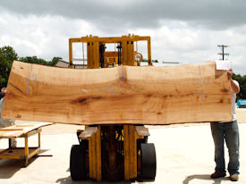 Ambrosia Maple Live Edge Wood Slab - AM202