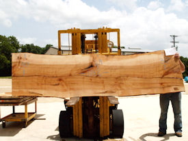 Ambrosia Maple Live Edge Wood Slab - AM204