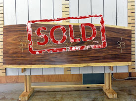 Guanacaste Live Edge Wood Slab - G15238