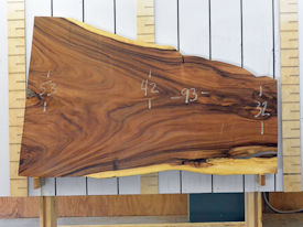 Guanacaste Live Edge Wood Slab - G15430