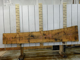 French White Oak Live Edge Wood Slab - FWO001 French White Oak Live Edge Wood Slab - FWO001