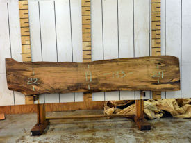 Tercio Live Edge Wood Slab - J18180 Tercio Live Edge Wood Slab - J18180