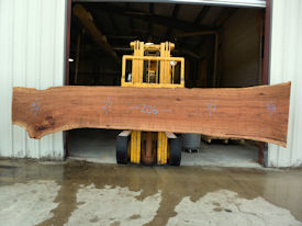 Texas Pecan Live Edge Wood Slab - TXP0200 Texas Pecan Live Edge Wood Slab - TXP0200
