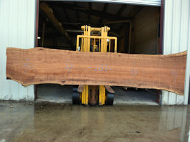 Texas Pecan Live Edge Wood Slab - TXP0202 Texas Pecan Live Edge Wood Slab - TXP0202