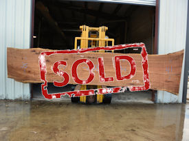 Texas Pecan Live Edge Wood Slab - TXP0203 Texas Pecan Live Edge Wood Slab - TXP0203