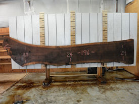 Walnut Live Edge Wood Slab - WAL101 Walnut Live Edge Wood Slab - WAL101